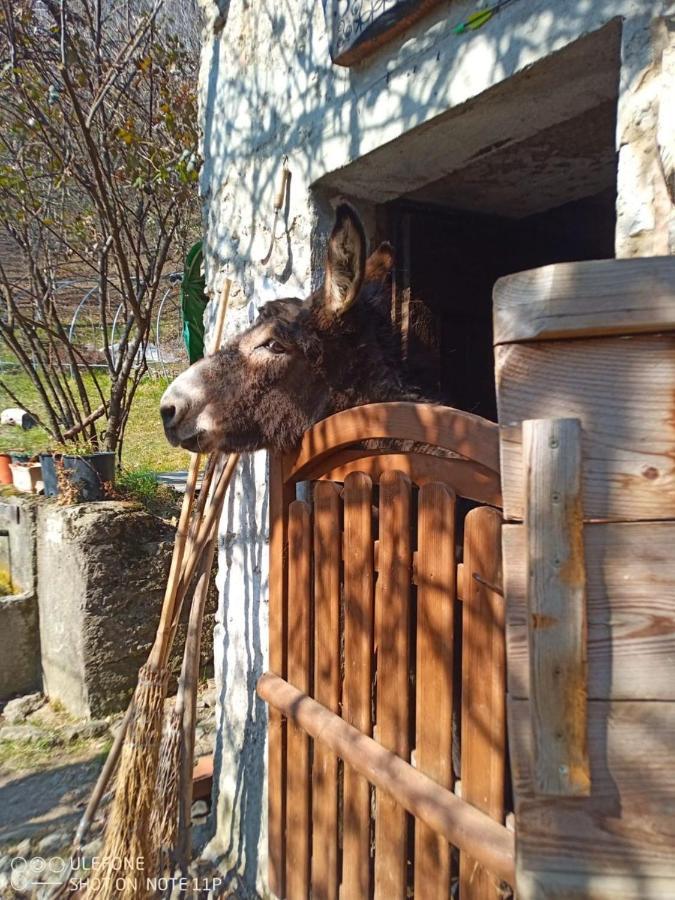 Agriturismo Cascina Gervasoni San Giovanni Bianco Εξωτερικό φωτογραφία